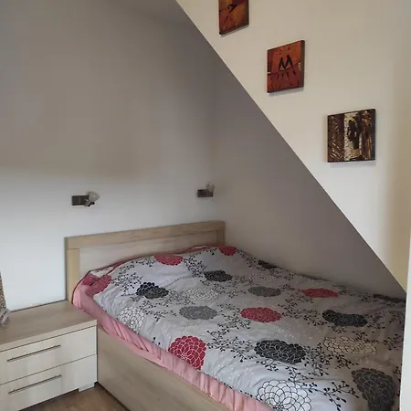 Luksuzni Apartment Kopaonik