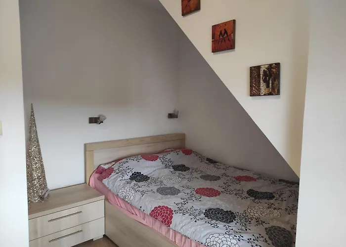 Luksuzni Daire Kopaonik