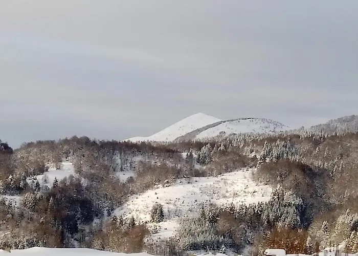 Luksuzni Daire Kopaonik
